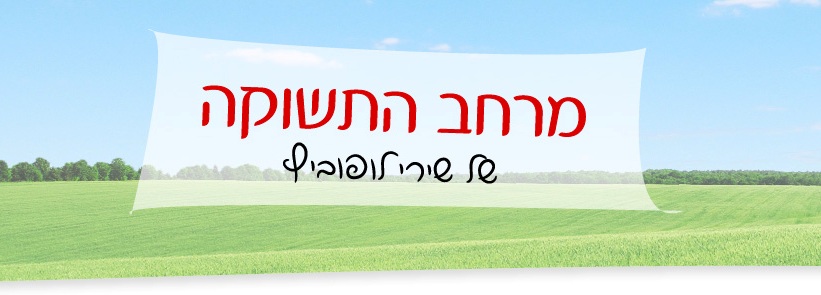 מרחב התשוקה של שירי