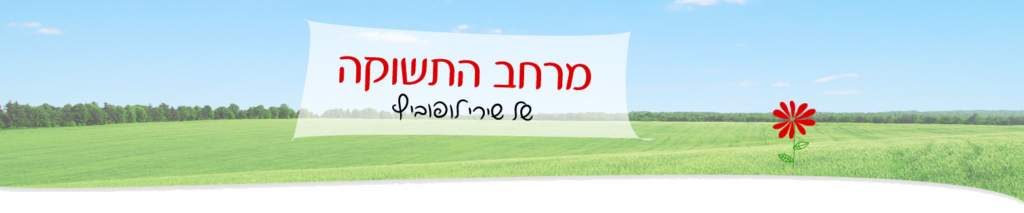 מרחב התשוקה של שירי
