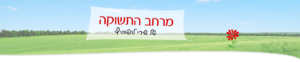 מרחב התשוקה של שירי