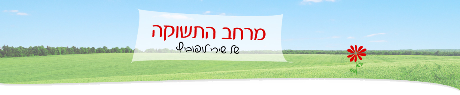 מרחב התשוקה של שירי